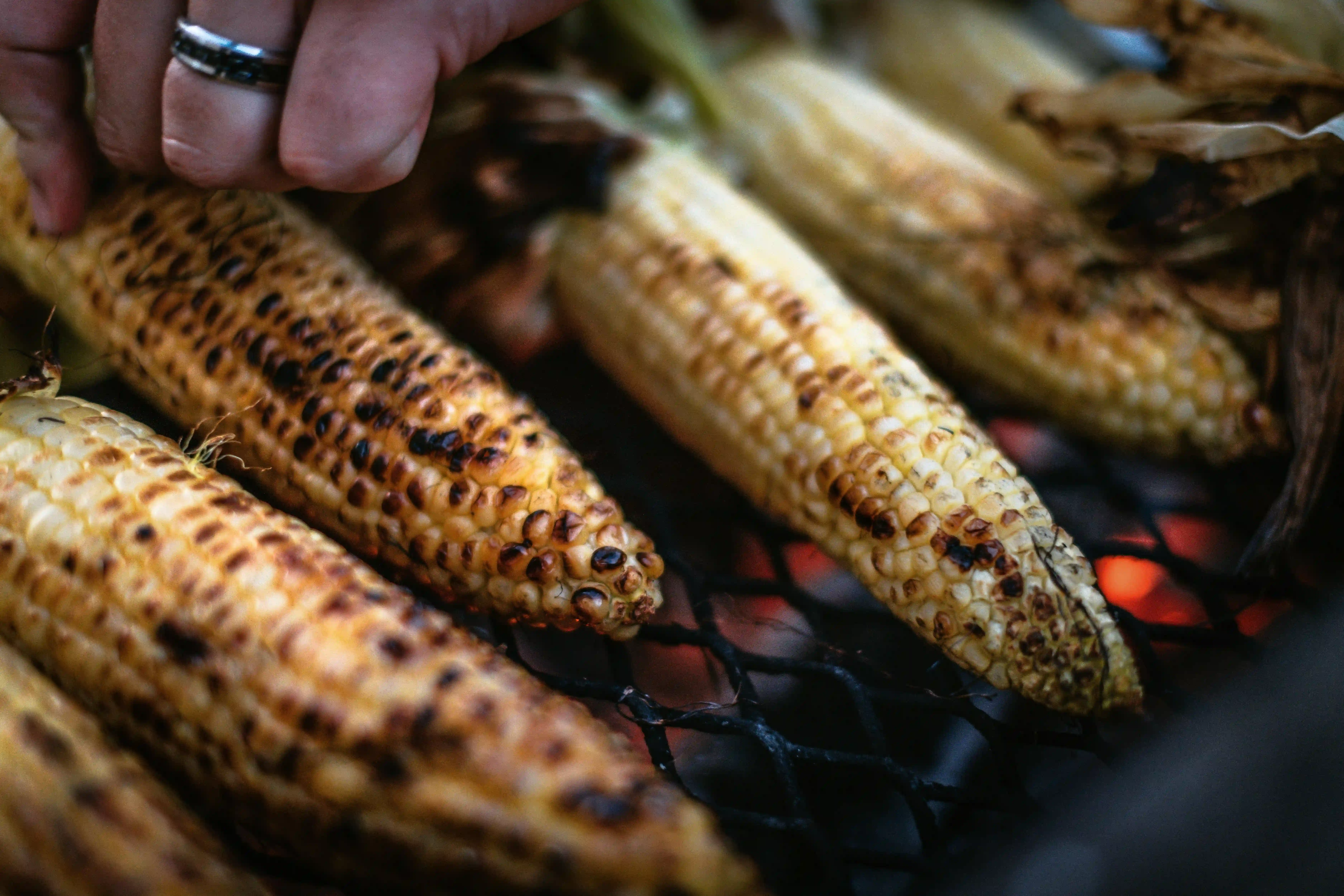 Charred Corn Elote Bites
